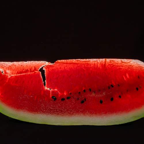 Photo #11234284