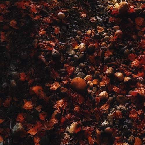 Photo #11234433