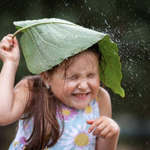 Photo #11234444