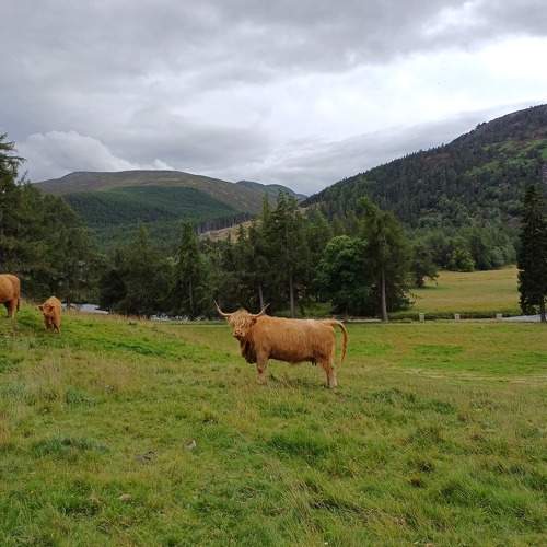 Photo #11234590