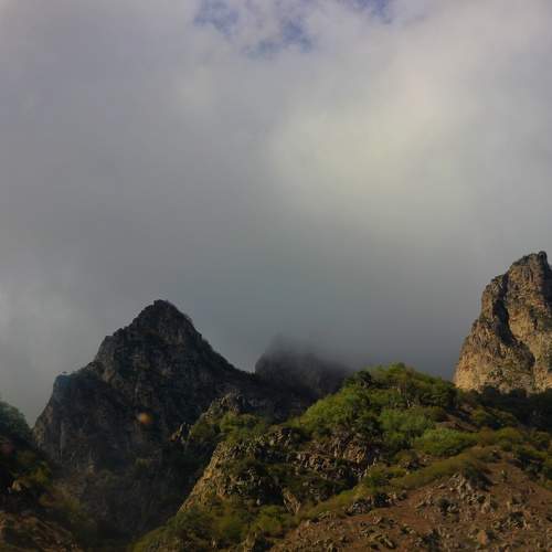 Photo #11234676