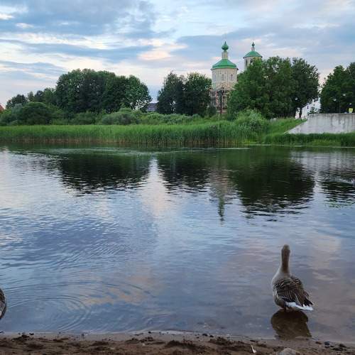 Photo #11234789