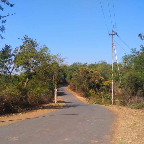 Photo #11234804