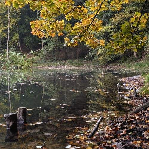 Photo #11234815