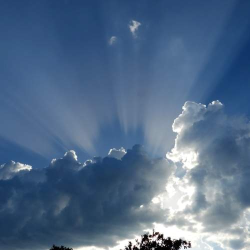 Photo #11234832