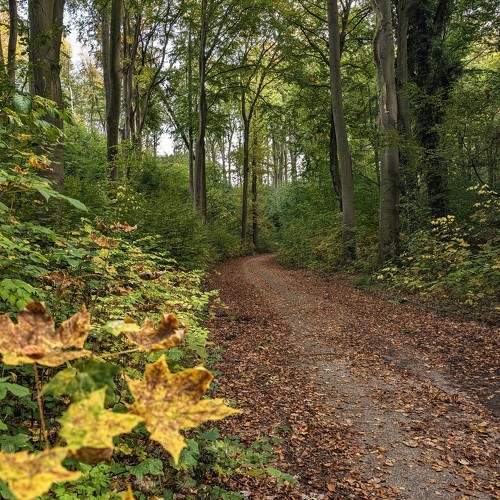 Photo #11234848