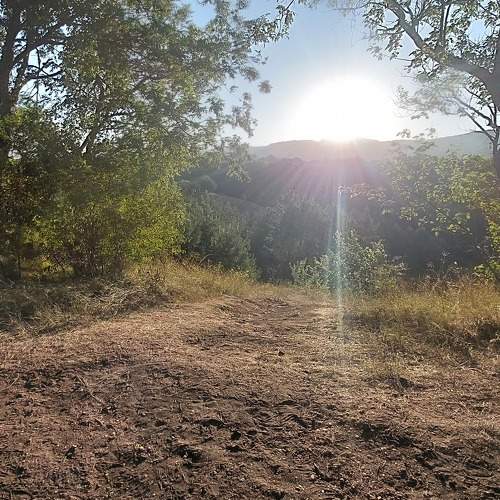 Photo #11235228
