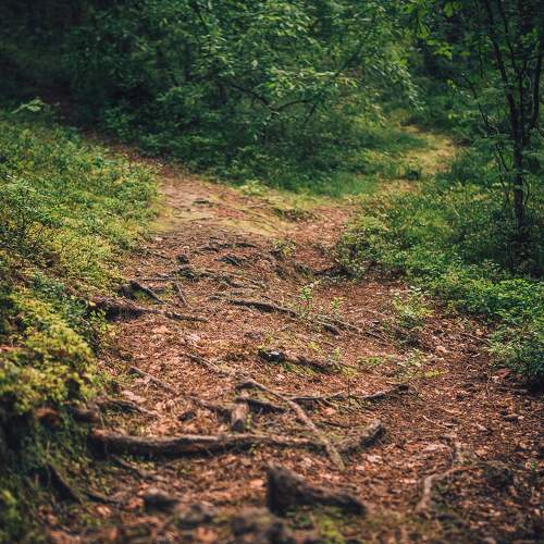Photo #11235311