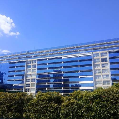 Photo #11235440