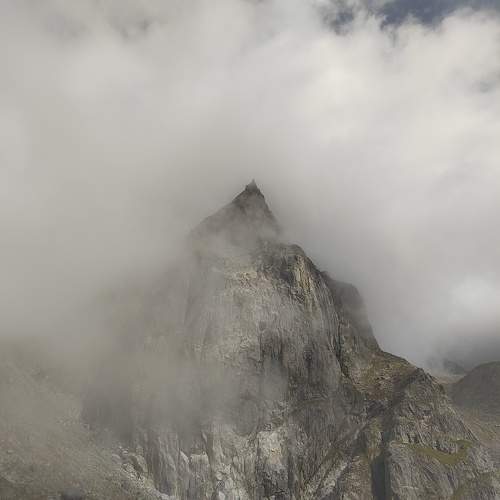 Photo #11235544