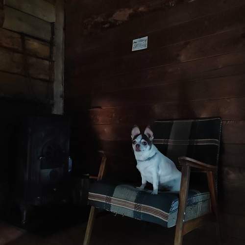 Photo #11235549