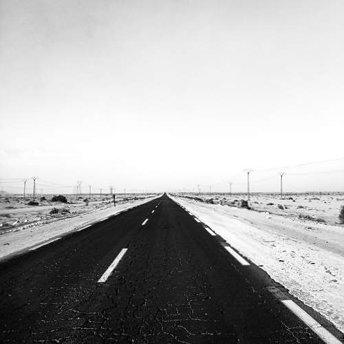 Photo #11235658