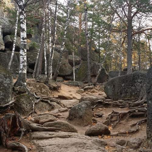 Photo #11235818