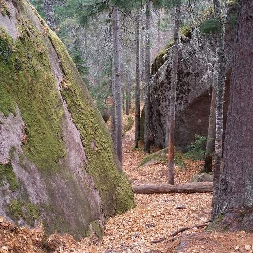 Photo #11235832