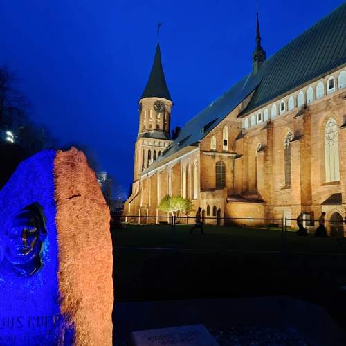 Photo #11235976