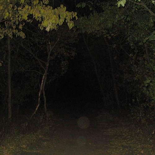 Photo #11236413