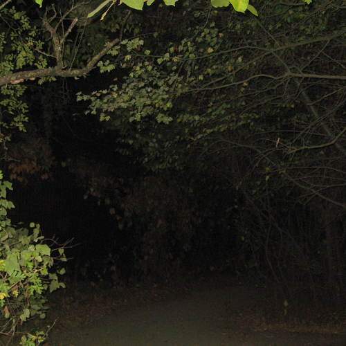 Photo #11236414