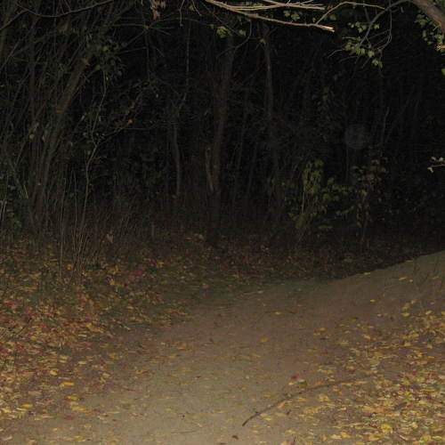 Photo #11236416