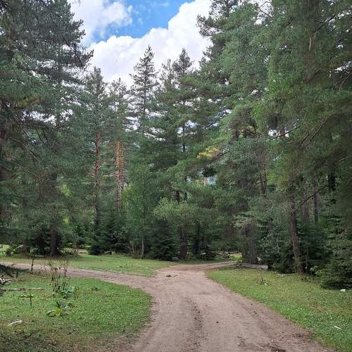 Photo #11236678