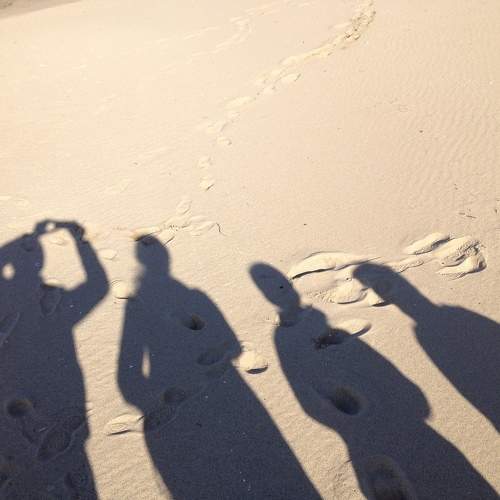 Photo #11236737