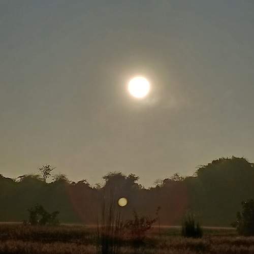 Photo #11236895