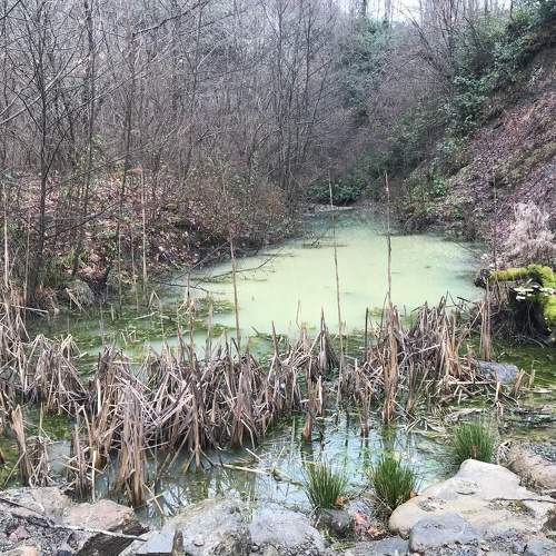 Photo #11236914