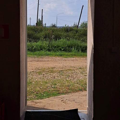 Photo #11237137