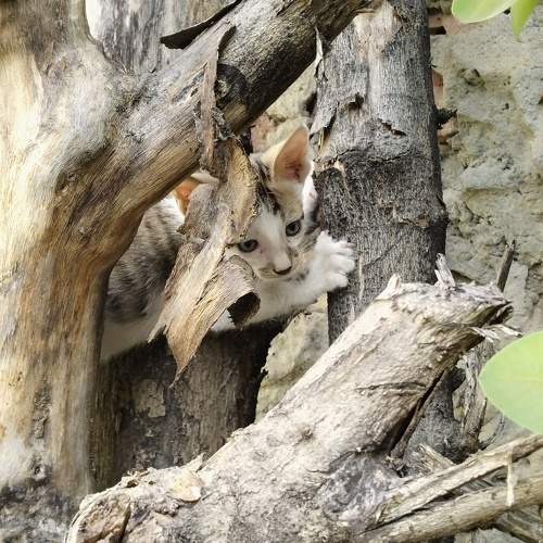 Photo #11237193