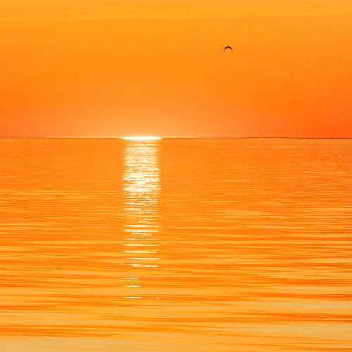 Photo #11237200