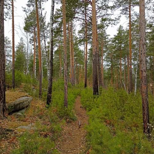 Photo #11237317