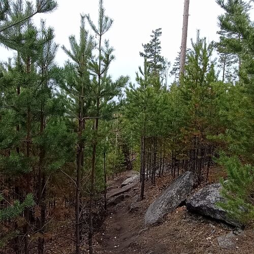 Photo #11237318