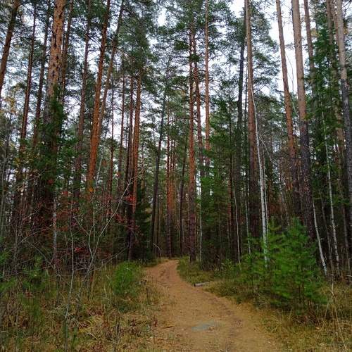 Photo #11237320