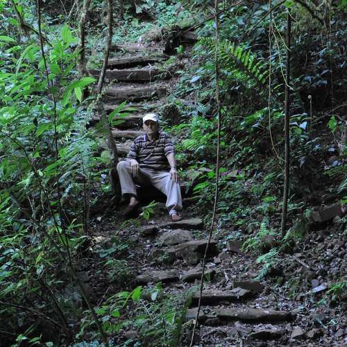 Photo #11237404
