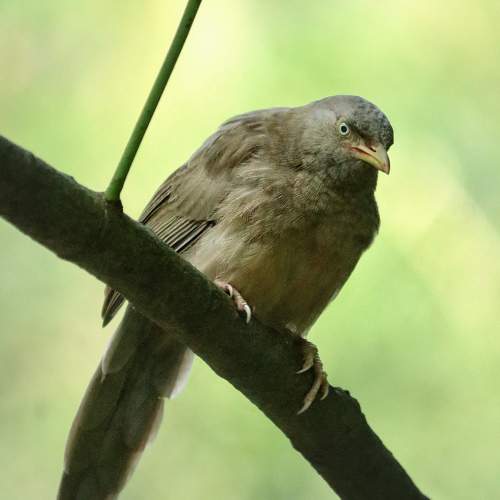 Photo #11237572