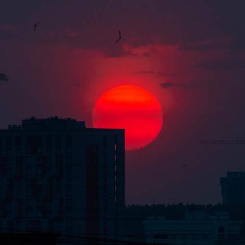 Photo #11237677