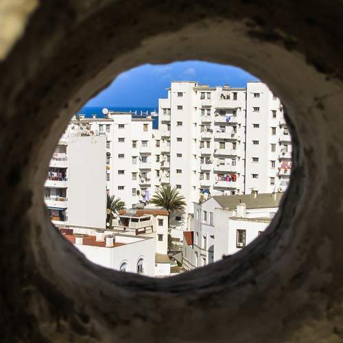 Photo #11237866