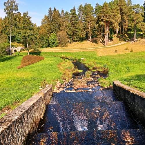 Photo #11238417
