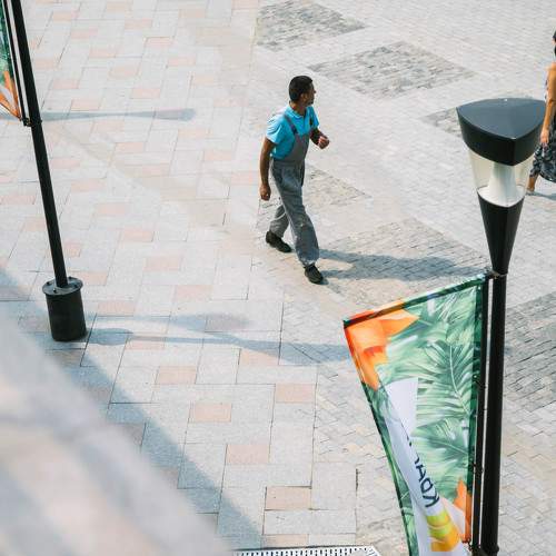 Photo #11238496