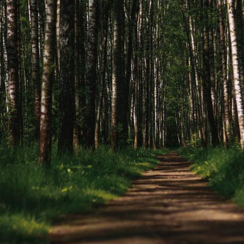 Photo #11238500