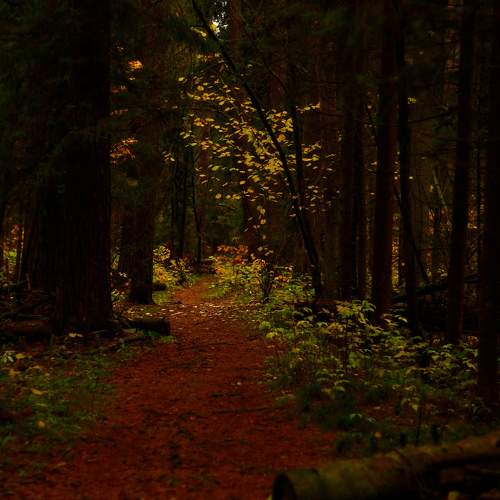 Photo #11238502