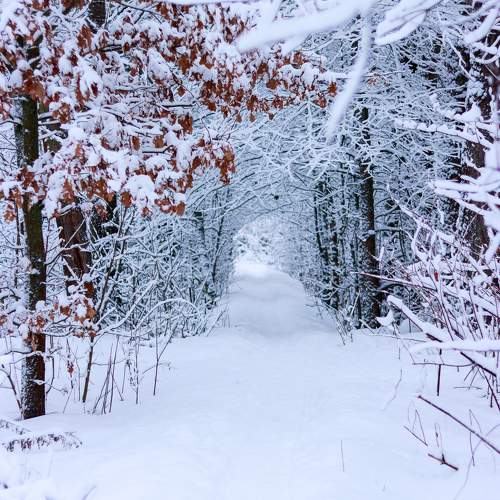 Photo #11238503