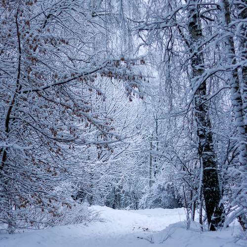 Photo #11238504