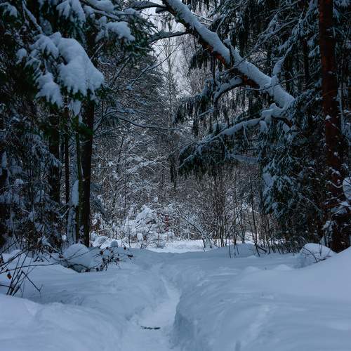 Photo #11238505