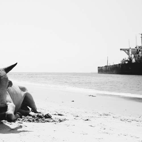 Photo #11238609