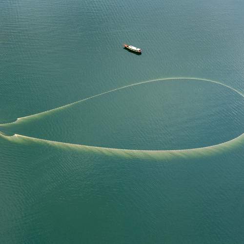 Photo #11238668