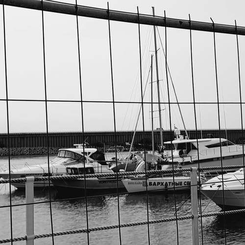 Photo #11238703