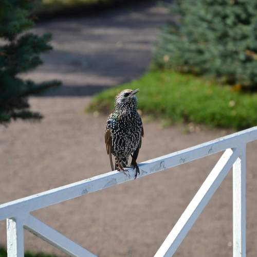 Photo #11238860