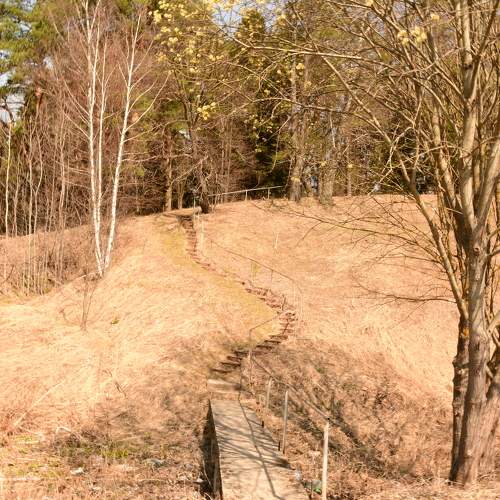 Photo #11239288