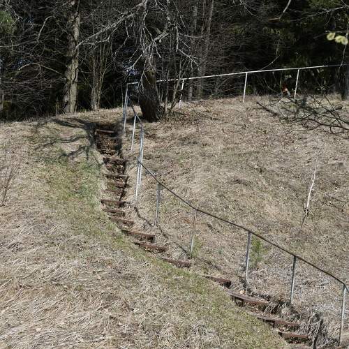 Photo #11239297
