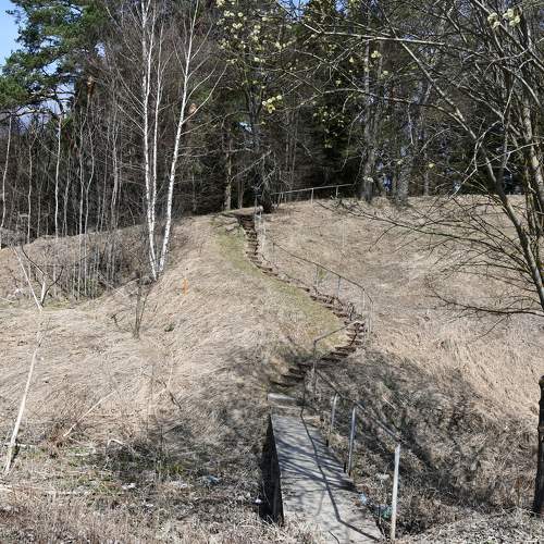 Photo #11239304
